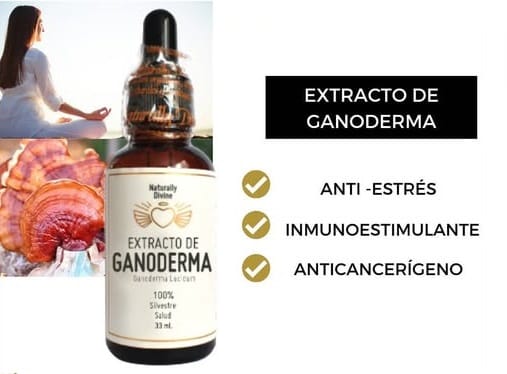 Extracto de Ganoderma Naturally Divine