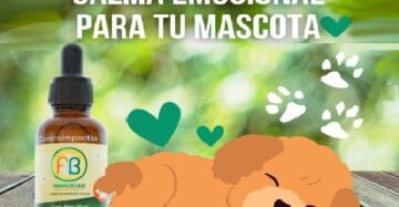 FB Paracelso Gotas Sin Temor