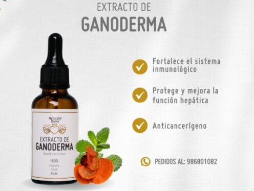 Extracto de Ganoderma Naturally Divine