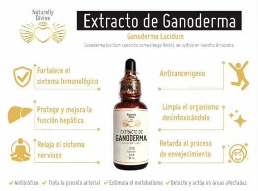 Extracto de Ganoderma Naturally Divine