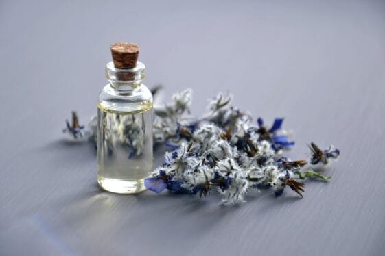 Aceite de Lavanda Sueño Comestible – NUA