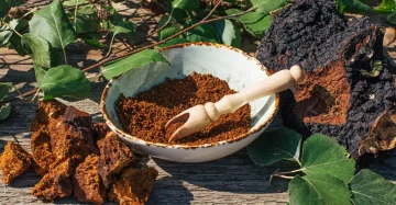 Chaga Mushroom Nutricost 1000mg: Beneficios