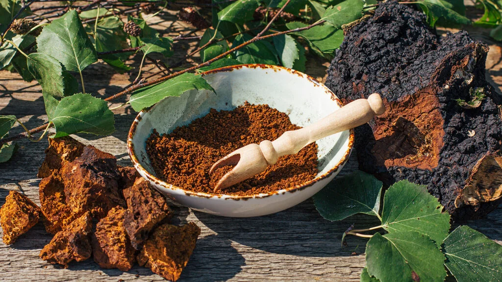 Chaga Mushroom Nutricost 1000mg: Beneficios