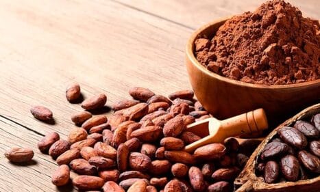 Cacao Orgánico Drasanvi 175 g